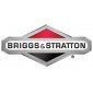 Generatoare cu motor Briggs Stratton